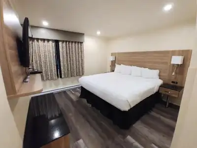 Hôtel & Suites le Dauphin Québec - 4