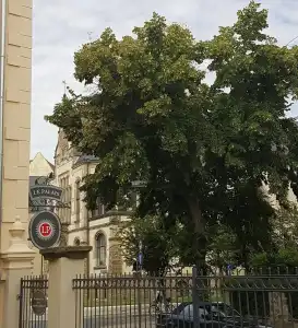 Villa le Palais Quedlinburg - 18