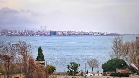 Cape Palace - 62