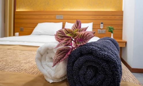 Nala Veli Beach & Spa - 93