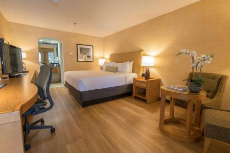 Best Western Plus Las Brisas - 41