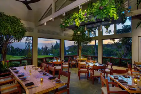 The Ritz-Carlton Maui, Kapalua - 21