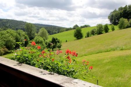 Natur & Wander Gassbachtal - 13