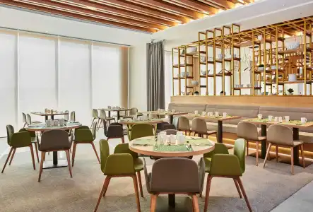 Hilton Garden Inn Dubai, Mall Avenue - 22