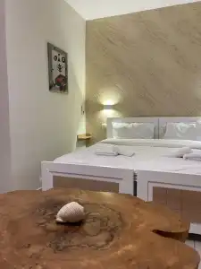 Arial Penthouse Suites - 112