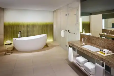 Hyatt Regency Dubai Creek Heights - 24