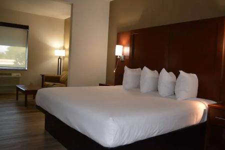 Wingate by Wyndham College Station South - 49