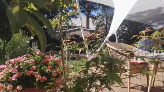 Hostel & Garten Eden - 21