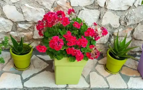 San Lazzaro Apartments - 26