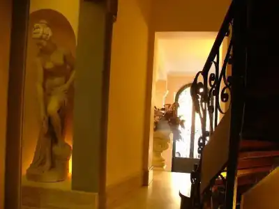 Okapi - 11