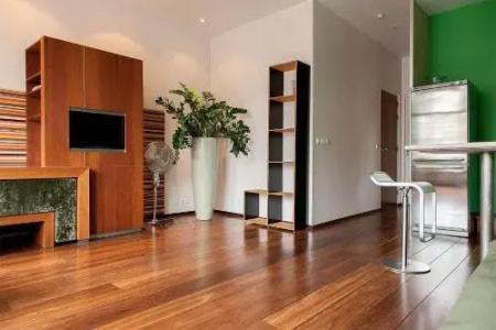 Prinsenhuis Apartments - 11