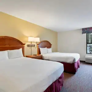 Orlando Palms - 29