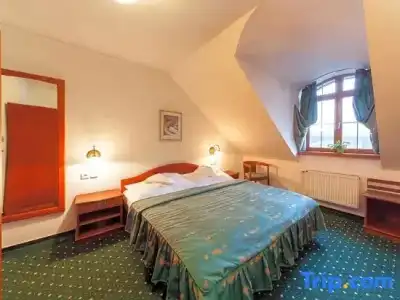 Hôtel Joli Môme - 55