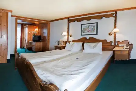 Alpenpark Resort - 66