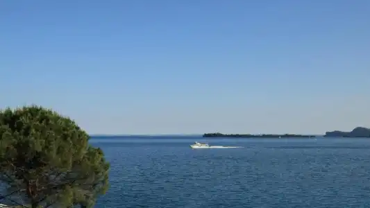 Aquavite - 56