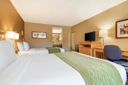 Econo Lodge Inn & Suites - 6