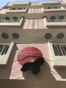 Sakura Fethiye - 0