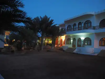 Shams & Dive Centre - 0