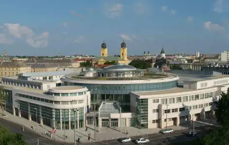 Lycium Debrecen - Handwritten Collection - 12