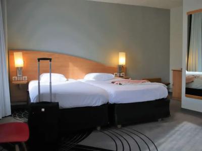 Hôtel Mercure Épinal Centre - 39