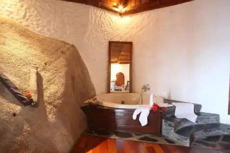 Chauve Souris Relais - 23