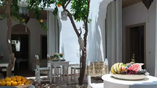 Riad Les Orangers d'Alilia - 10
