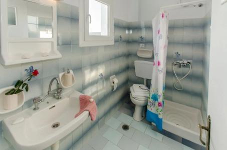 Polyegos View - 8