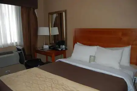 Ramada by Wyndham New York Times Square West - 13