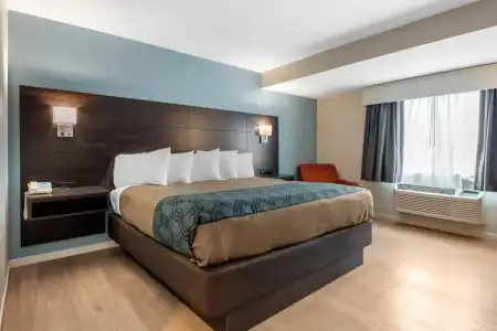 Quality Inn & Suites Lincoln I-93 - 35