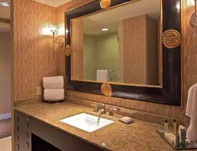 Hilton Anatole - 67