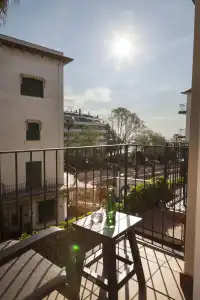 Delfín - 15