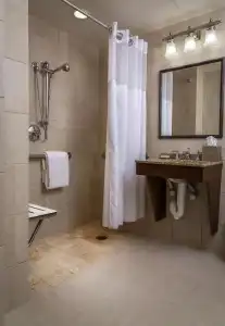 Hilton Anatole - 7