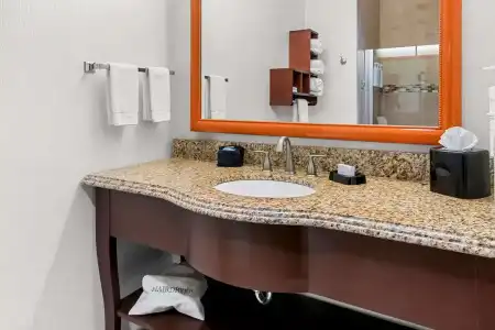 Hampton Inn & Suites Abilene I-20 - 69