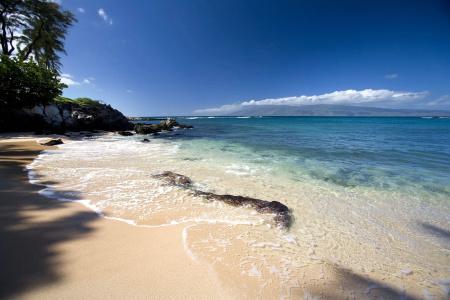 The Resort at Kapalua Bay, Maui - 14
