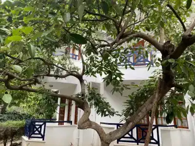 Naturella Apart-Hotel - 139