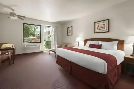 Palm Mountain Resort and Spa - 4