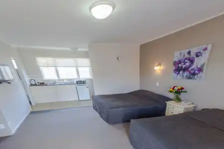 Sylvia Park Motel - 1