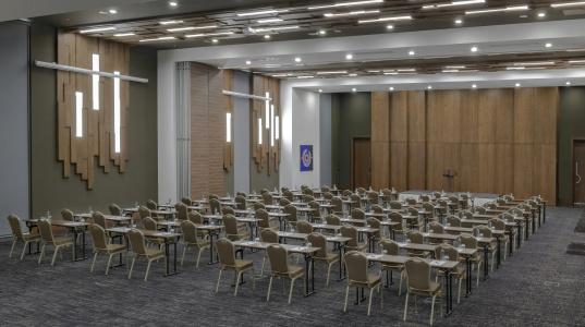 DoubleTree by Hilton Manisa - 41