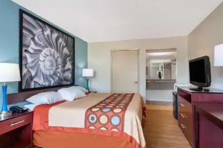 Super 8 By Wyndham Clearwater/Us Hwy 19 N - 23