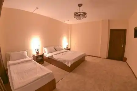 Mulberry - 17