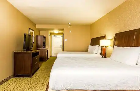 Hilton Garden Inn St. George - 81