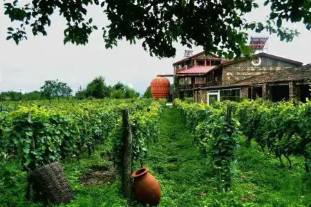 Twins Wine House - 15