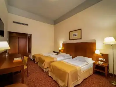 Mercure Szekesfehervar Magyar Kiraly - 24