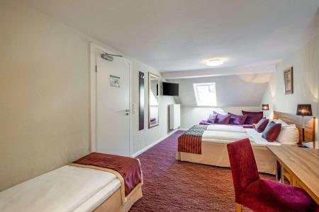 Comfort Tom Kyle - 6