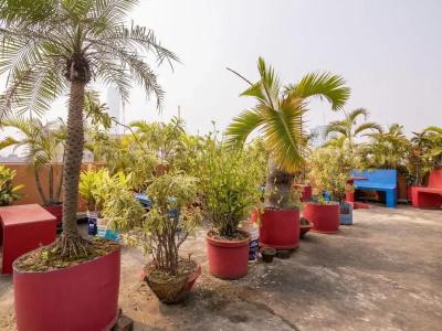 Sunflower Guesthouse - 13
