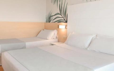 Alegria Florida - 29