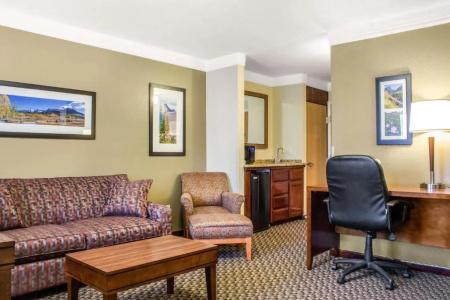 Comfort Inn & Suites Durango - 68