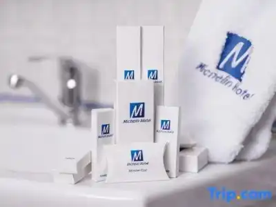 Michelin - 72