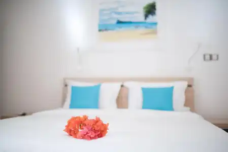 Toparadis Guest House - 71