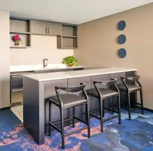 Sable at Navy Pier Chicago, Curio Collection by Hilton - 31